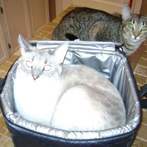 Meet your Posher, Kahne